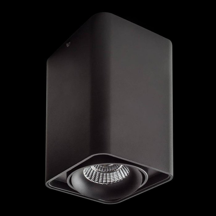 Потолочный светодиодный светильник Monocco черного цвета - купить Потолочные светильники по цене 4192.0