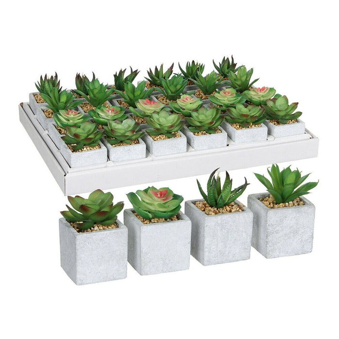 Декоративное растение 8 x 5 cm Зеленый PVC сочный