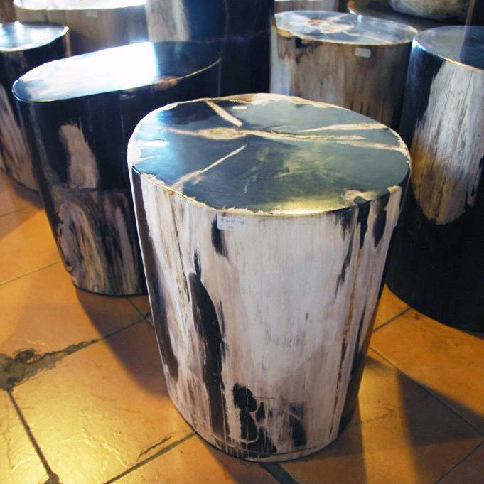 Журнальный столик Stump из окаменелого дерева  - купить Кофейные столики по цене 62200.0