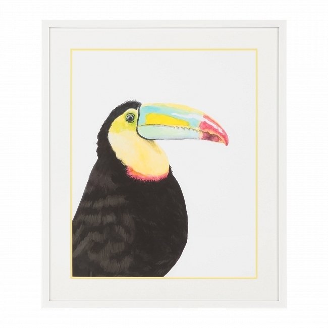 Постер Toucan с изображением африканской птицы 