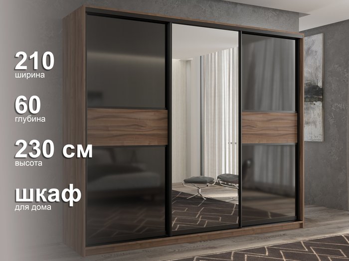 Шкаф-купе Кааппи-9 210 цвета Орех тьеполо  - лучшие Шкафы-купе в INMYROOM