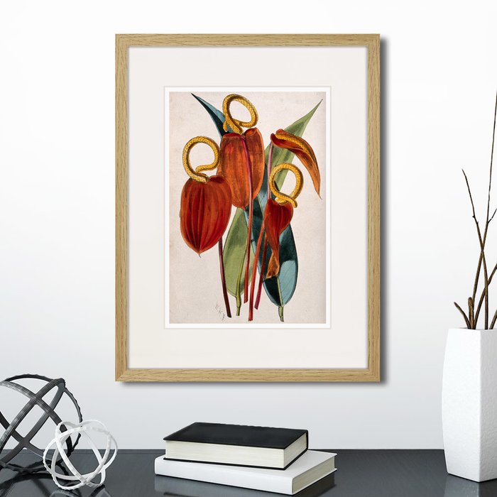 Набор из двух картин Exotic plants of the world №2  - купить Картины по цене 5990.0