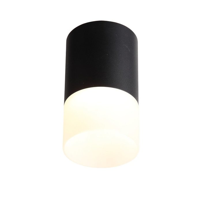  Светильник потолочный Ottu черного цвета - купить Потолочные светильники по цене 1630.0