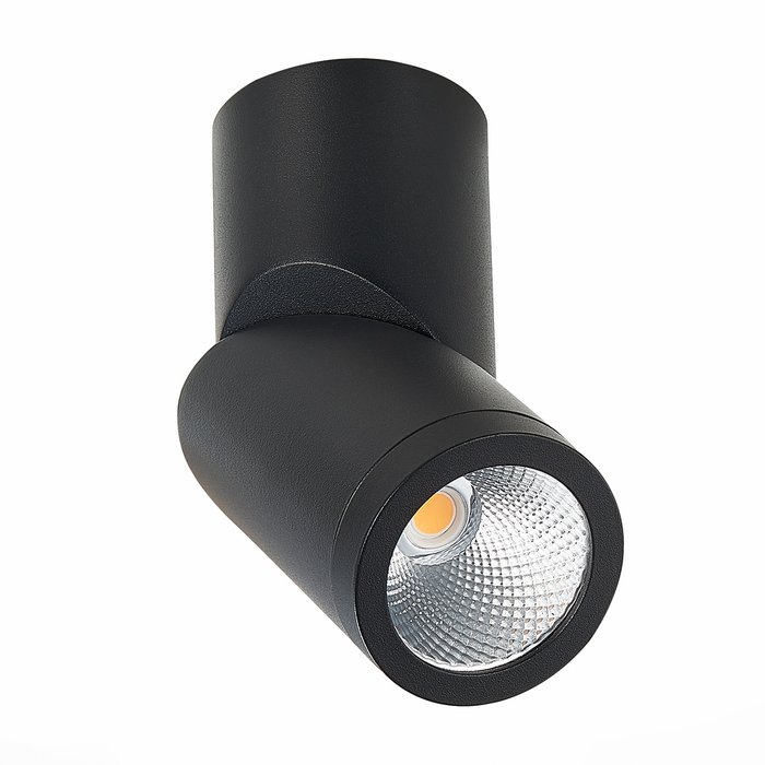 Светильник потолочный Lemmi черного цвета - купить Потолочные светильники по цене 3280.0