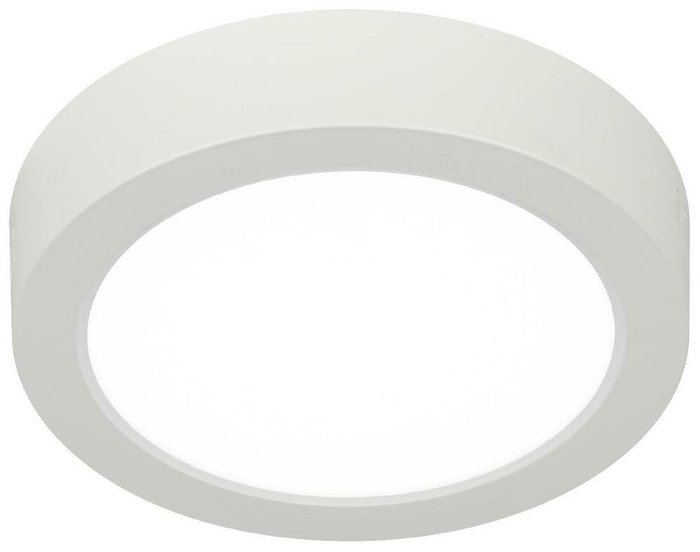 Накладной светильник LED 19 Б0057450 (пластик, цвет белый) - купить Потолочные светильники по цене 468.0