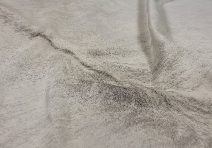 Шкура коровы натуральная Cowhide 200х230 серого цвета - лучшие Ковры в INMYROOM