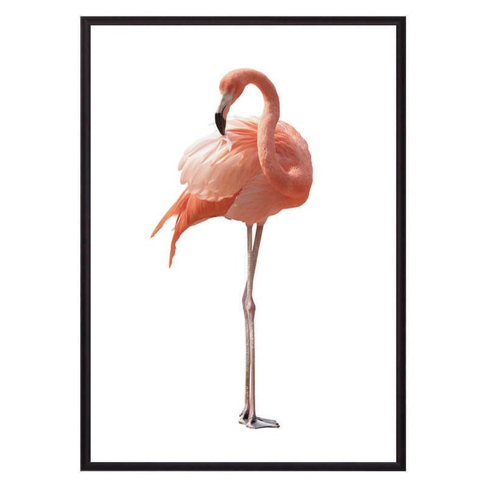 Постер в рамке Фламинго 1 21х30 см