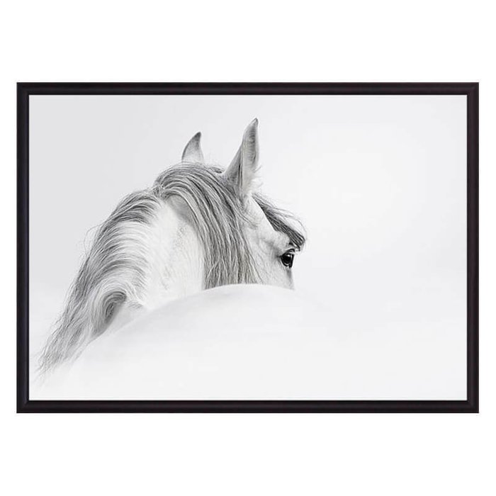 Постер в рамке Белая лошадь 1 21х30 см