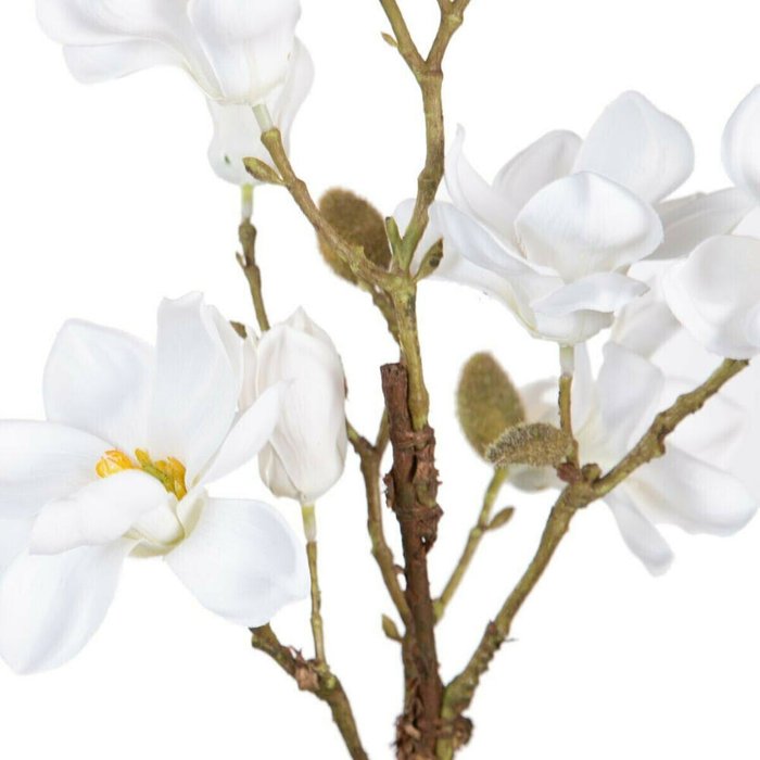 Декоративное растение полиэстер полиэтилен Железо 25 x 25 x 49 cm Magnolia - лучшие Декоративные цветы в INMYROOM