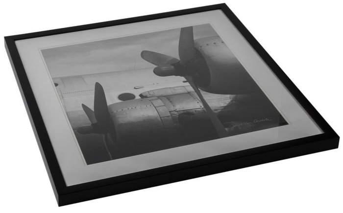 Постер с паспарту в раме "Vintage Flight" - лучшие Принты в INMYROOM Постер с паспарту в раме "Vintage Flight" - лучшие Принты в INMYROOM