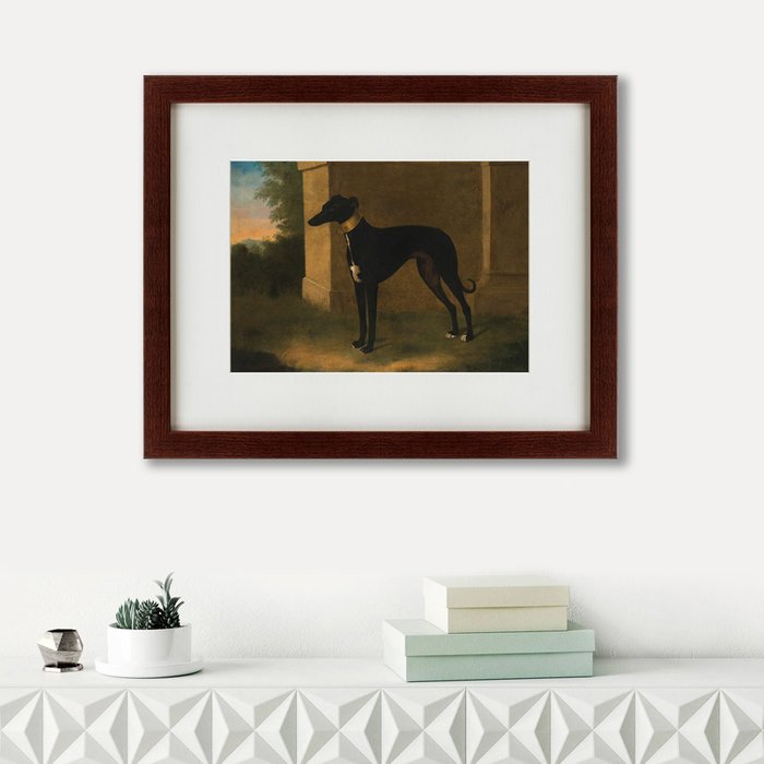 Репродукция картины Portrait of a Greyhound called Pompon 1746 г.