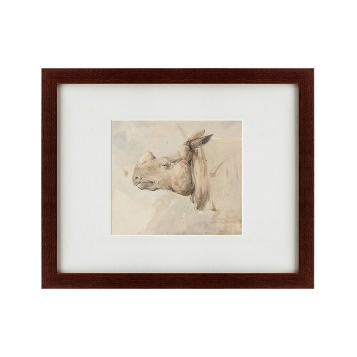 Картина The Head of a Rhinoceros 1889 г. - купить Картины по цене 9980.0