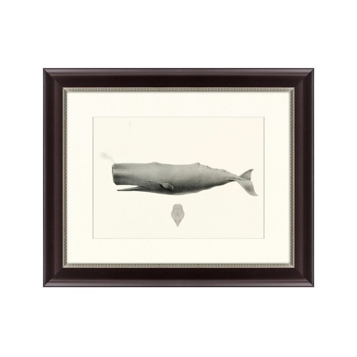 Картина Sperm whale Physeter macrocephalus 1862 г. - купить Картины по цене 3495.0