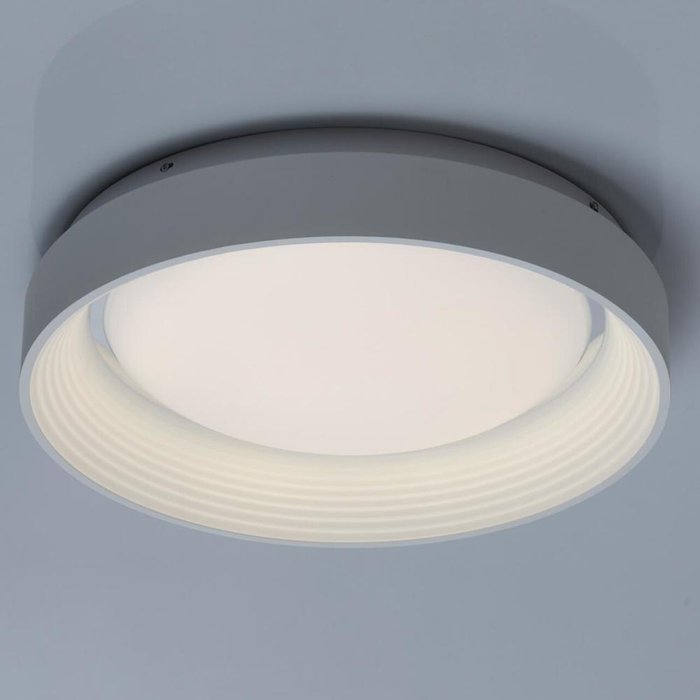 Потолочный светодиодный светильник  Ривз  - лучшие Потолочные светильники в INMYROOM
