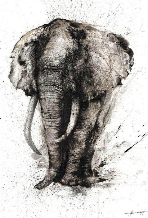 Картина (репродукция, постер): Слон-Мудрость - Хуа Тунан