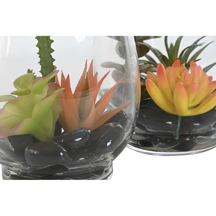Искусственные растения Декоративное растение Home ESPRIT PVC Стеклянный 10 x 10 x 15 cm (2 штук) - лучшие Аксессуары для гостиной в INMYROOM Искусственные растения Декоративное растение Home ESPRIT PVC Стеклянный 10 x 10 x 15 cm (2 штук) - лучшие Аксессуары для гостиной в INMYROOM