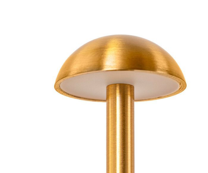 Настольная лампа Дамари бронза d10,5 h29 Led 2w (3000-6000K) - купить Настольные лампы по цене 2900.0