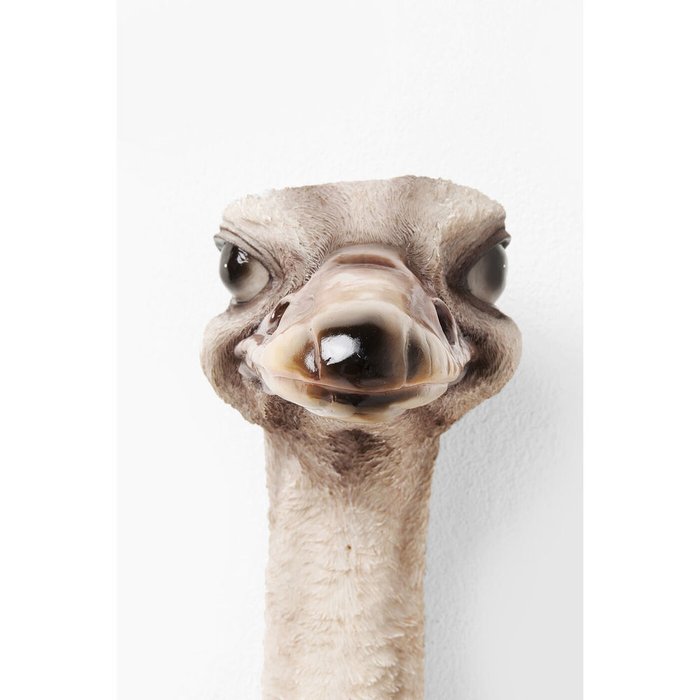 Украшение настенное Ostrich черно-белого цвета - лучшие Декор стен в INMYROOM Украшение настенное Ostrich черно-белого цвета - лучшие Декор стен в INMYROOM