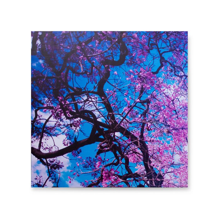 Картина Sakura из четырех частей - лучшие Картины в INMYROOM