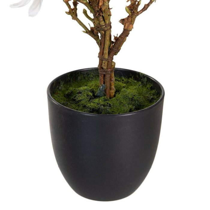 Декоративное растение полиэстер полиэтилен Железо 30 x 30 x 60 cm Magnolia - купить Декоративные цветы по цене 5695.0