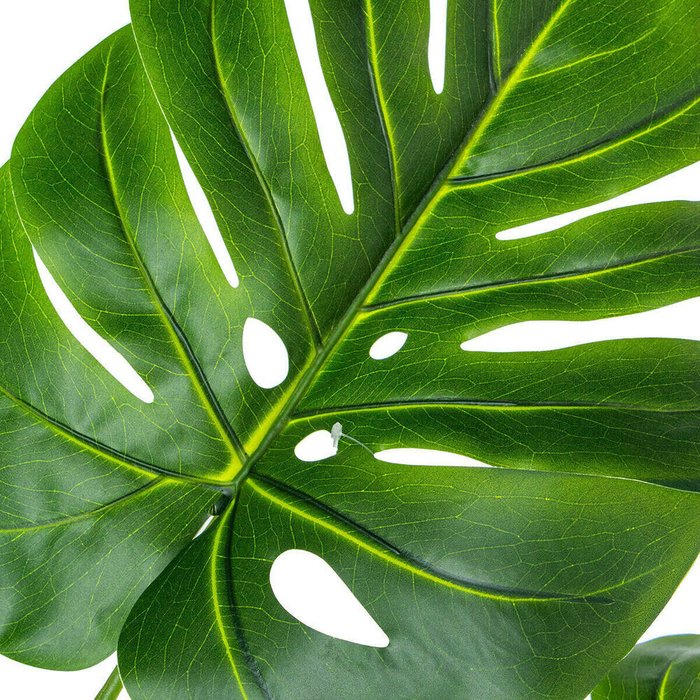 Декоративное растение Пластик Monstera 150 cm - лучшие Декоративные цветы в INMYROOM