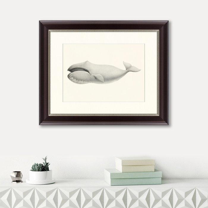 Картина Bowhead whale Balaena mysticetus 1856 г.