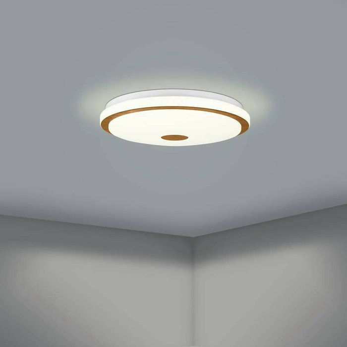 Светильник настенно-потолочный Eglo Lanciano 1 900598 - лучшие Потолочные светильники в INMYROOM