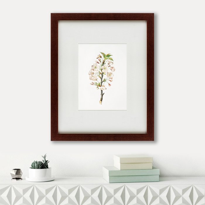 Картина Pear tree flowers Pyrus calleryana 1830 г.