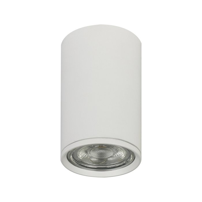 Потолочный светильник белого цвета - купить Накладные споты по цене 690.0