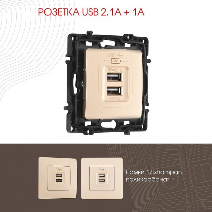 Розетка USB, без рамки 217.46-1.shampan - лучшие Розетки в INMYROOM