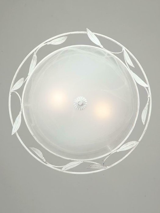 Настенно-потолочный светильник V6862-0/2A (металл, цвет белый) - купить Бра и настенные светильники по цене 2196.0