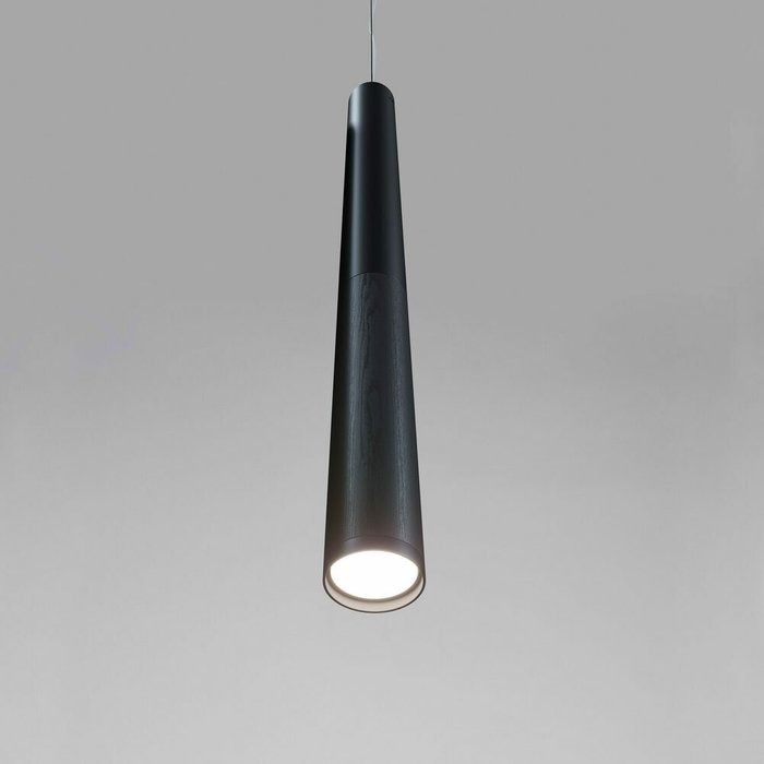 Подвесной точечный светильник Vector Spot цвета черный ясень - купить Подвесные светильники по цене 9490.0