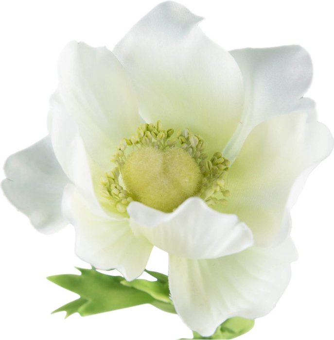 Декор Anemone - лучшие Декоративные цветы в INMYROOM