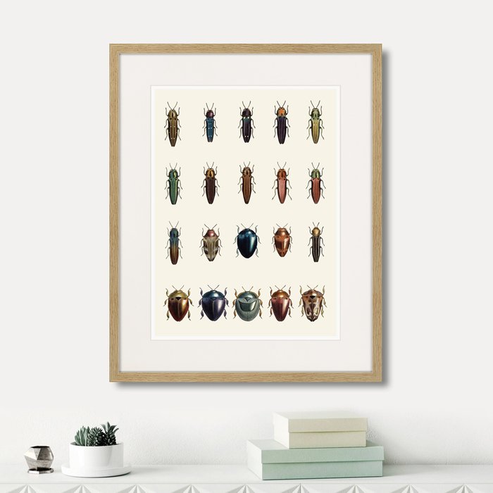 Набор из двух картин Assorted Beetles  №3  - купить Картины по цене 7990.0
