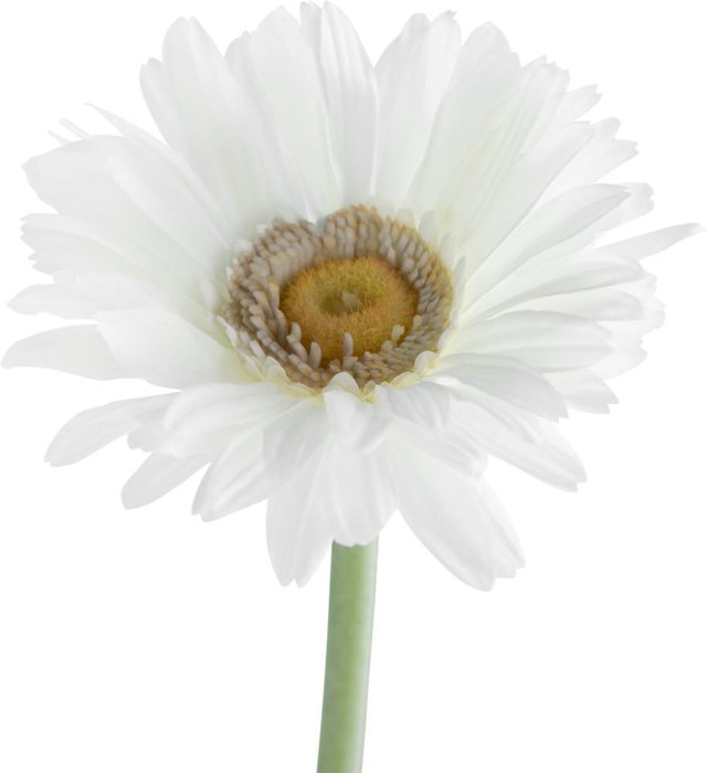 Декор Daisy   - лучшие Декоративные цветы в INMYROOM