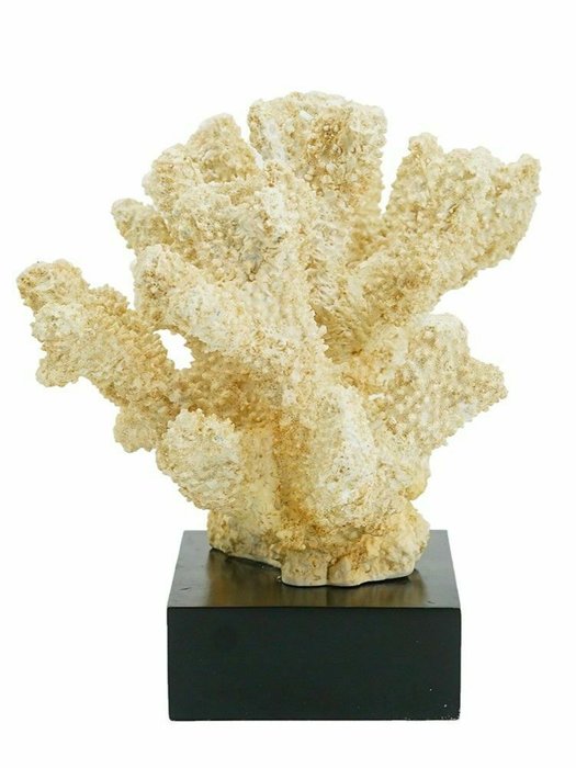 Декор настольный Коралл бежевого цвета - лучшие Фигуры и статуэтки в INMYROOM