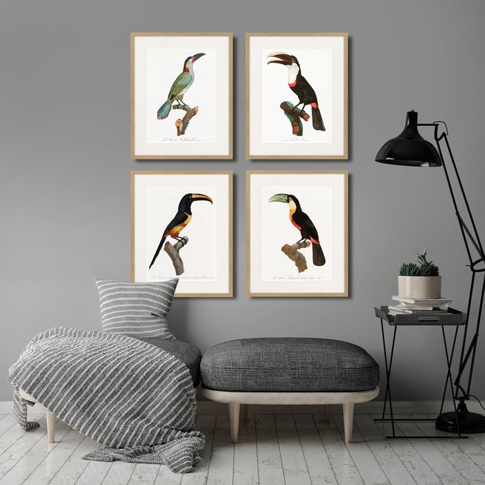 Набор из четырех картин Beautiful toucans 