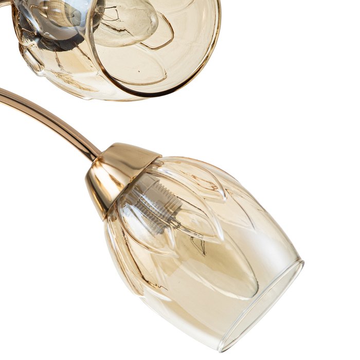 Потолочная люстра Allium со стеклянными плафонами  - лучшие Потолочные люстры в INMYROOM