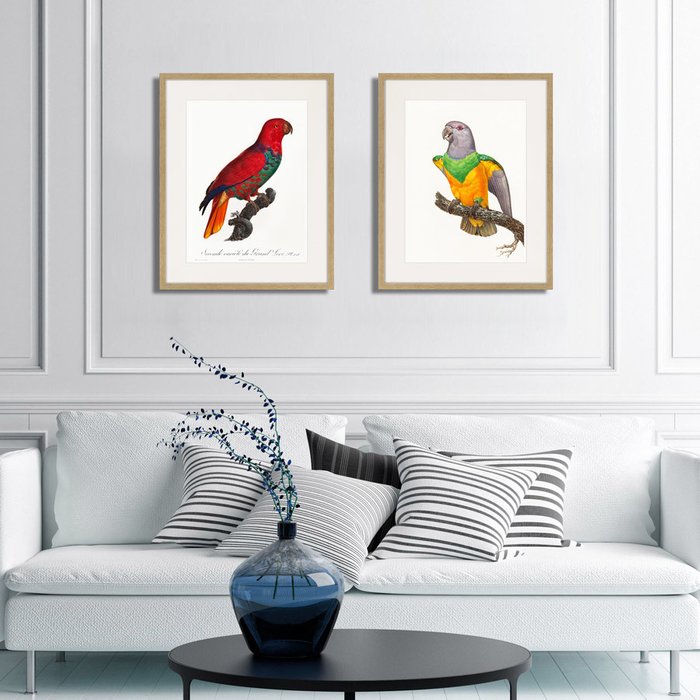 Набор из двух картин Beautiful parrots №3 