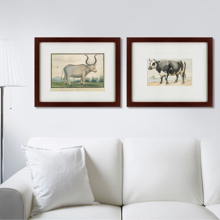 Картина A Friesian bull 1780 г. - лучшие Картины в INMYROOM