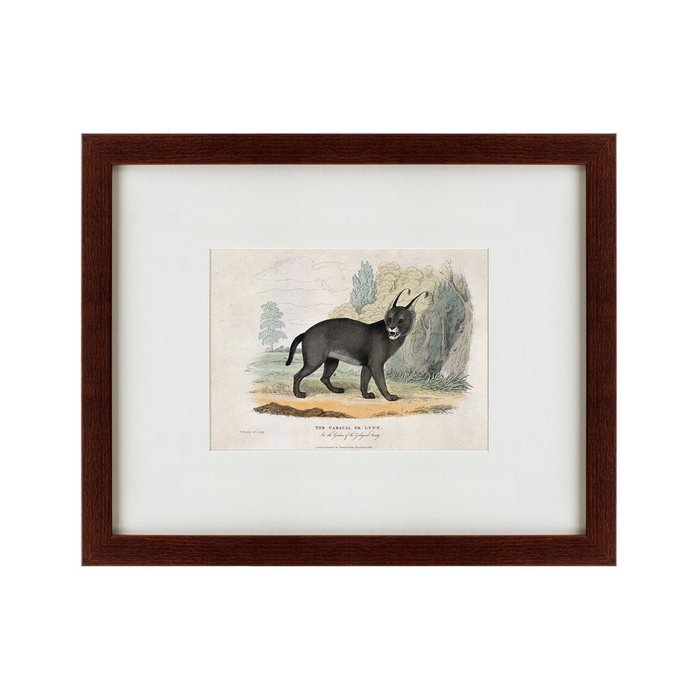 Картина A caracal or lynx 1830 г. - купить Картины по цене 4990.0