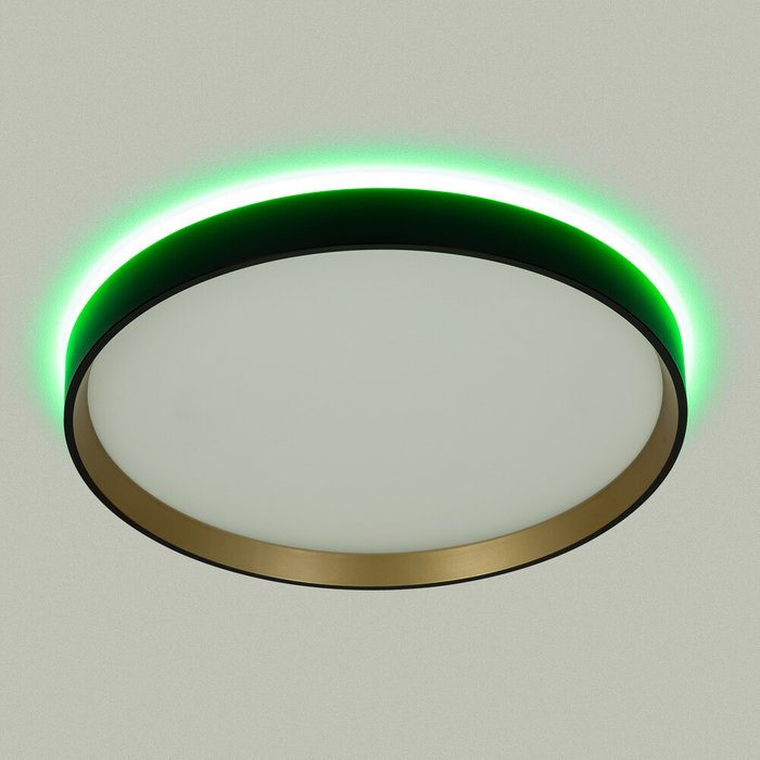 Citilux ETALON CL750321R LED RGB Светильник с пультом Чёрный+Золото - лучшие Накладные споты в INMYROOM