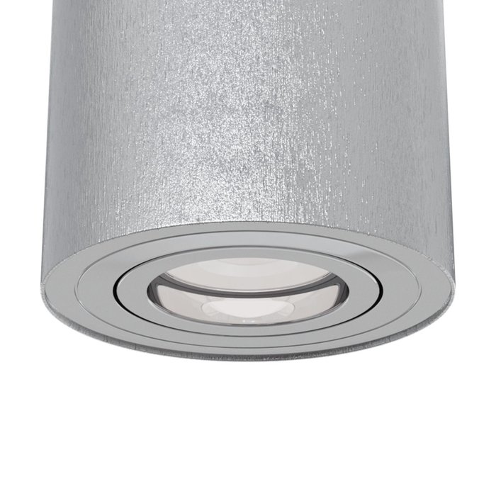 Потолочный светильник Alfa серебряного цвета - купить Потолочные светильники по цене 1940.0