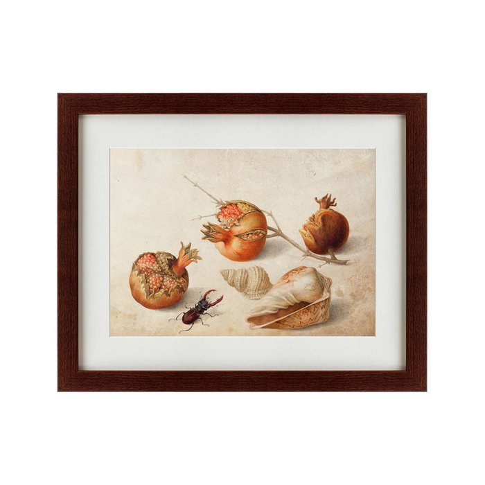 Картина Fig Painting 1650 г. - купить Картины по цене 4990.0