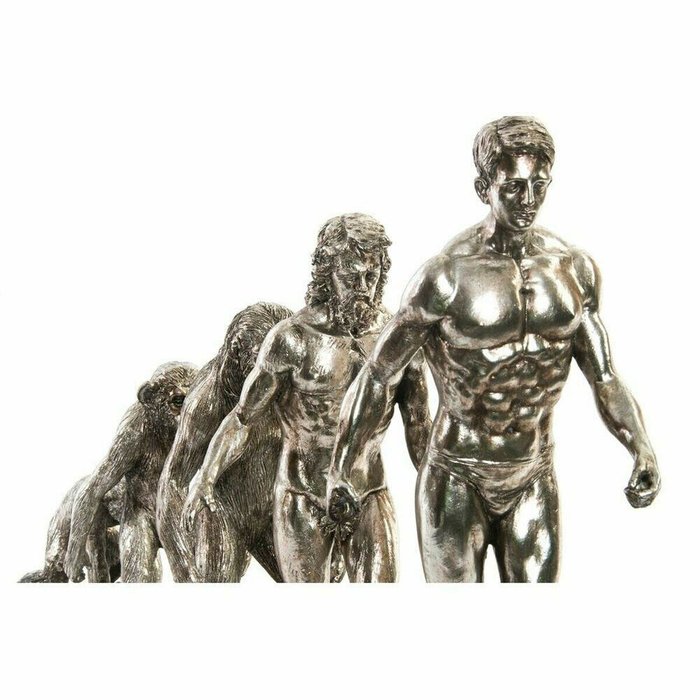 Декоративная фигура Origin of Species Серебристый хром 55 x 18 x 42 cm - лучшие Фигуры и статуэтки в INMYROOM