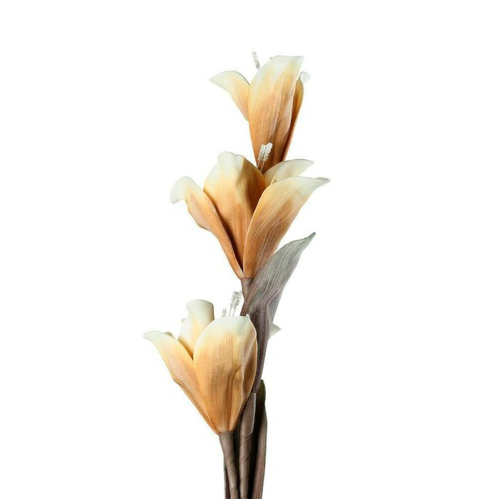 Искусственное растение Molave коричневого цвета - купить Декоративные цветы по цене 1990.0