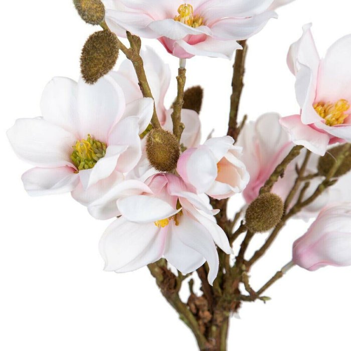Декоративное растение полиэстер полиэтилен Железо 30 x 30 x 60 cm Magnolia - лучшие Декоративные цветы в INMYROOM