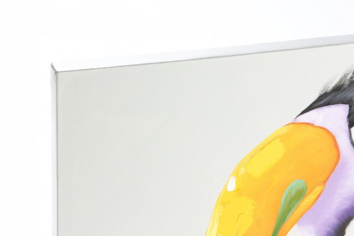 Картина "Toco toucan" - лучшие Картины в INMYROOM