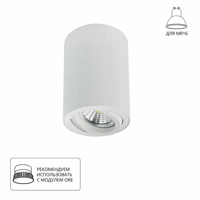 Точечный накладной светильник Arte Lamp SENTRY A1566PL-1WH Точечный накладной светильник Arte Lamp SENTRY A1566PL-1WH