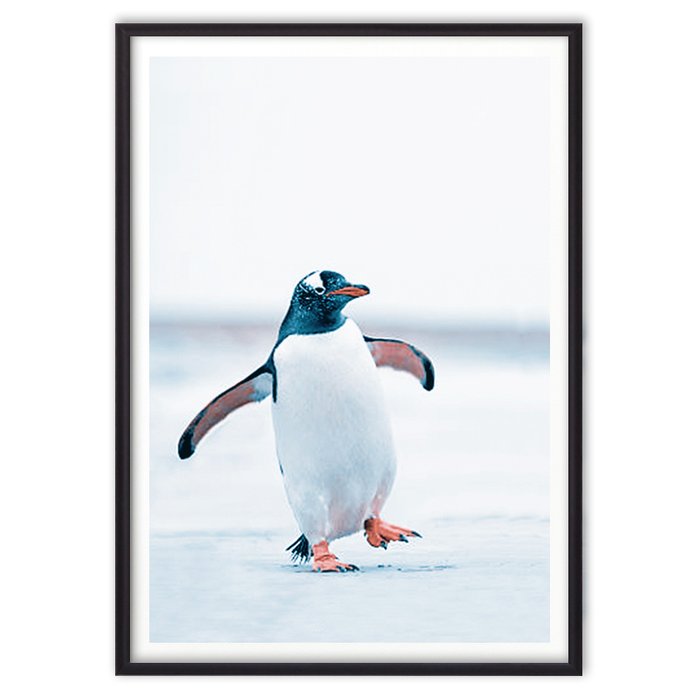 Постер в рамке Пингвин 21х30 см